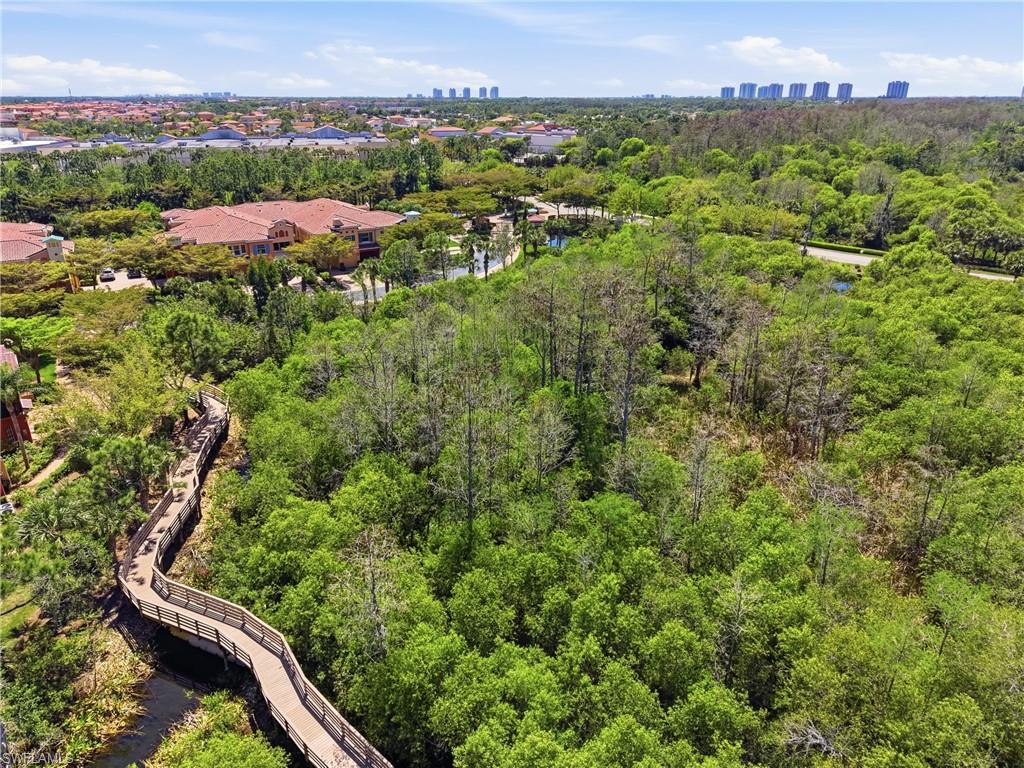 Community boardwalk traversing lush green foliage