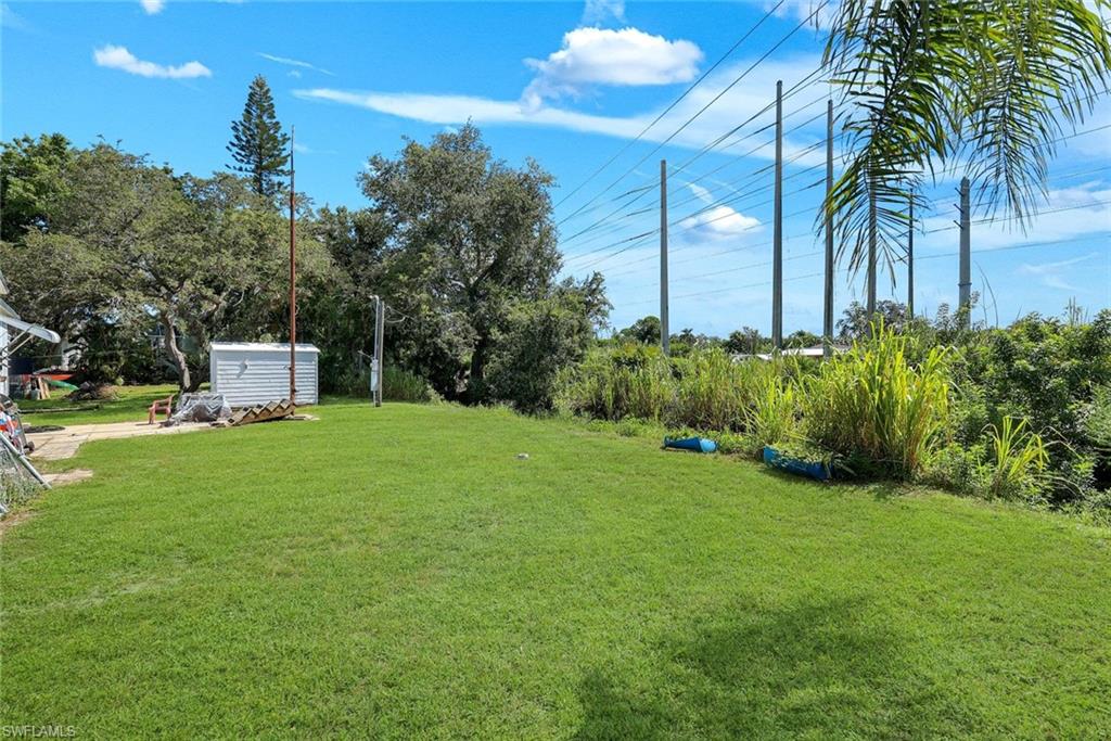Private backyard expansive grassy yard area with mature trees and dense perimeter foliage