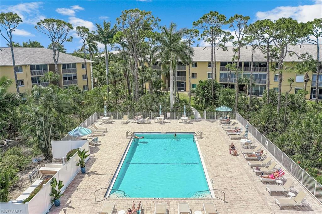 Primary Pool Area