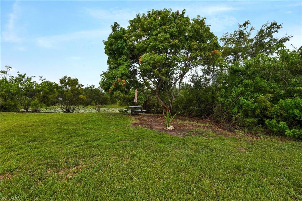 28 Cosmopolitan DR 16 photo 30