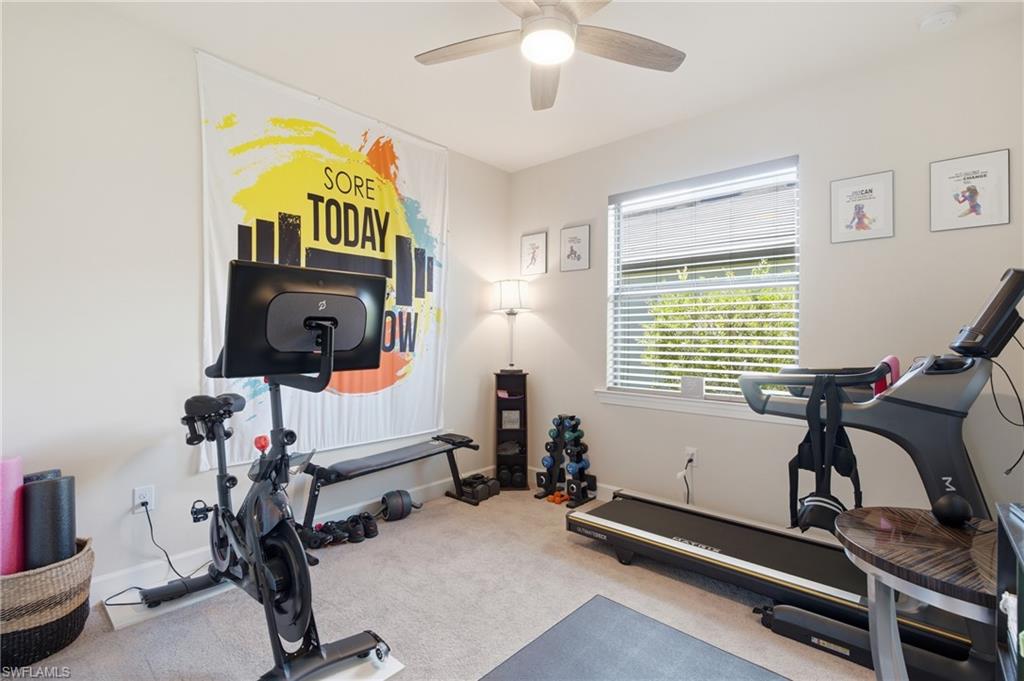 Neutral wall paint, ceiling fan with light fixture, carpet flooring, and a large window with blinds