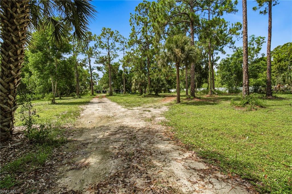Expansive lot featuring mature trees, diverse vegetation, and a natural ground path