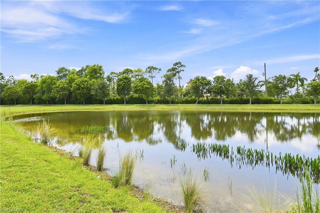 Expansive grounds featuring a serene pond with natural shoreline, mature tree canopy providing verdant backdrop, and lush manicured lawn extending to the water's edge