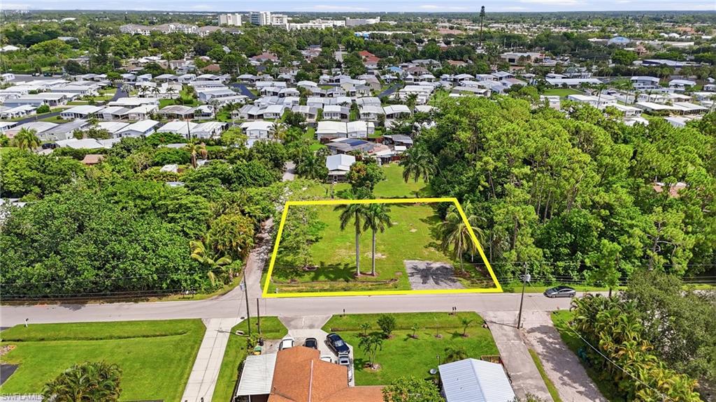 Level lot with established palm trees and a paved surface