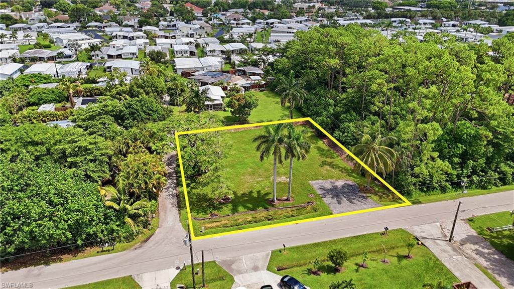 Expansive lot featuring mature palm trees and lush surrounding foliage, with direct street frontage