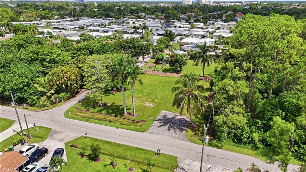 Expansive lot with manicured lawn, established palm trees, mature trees, and a paved road frontage