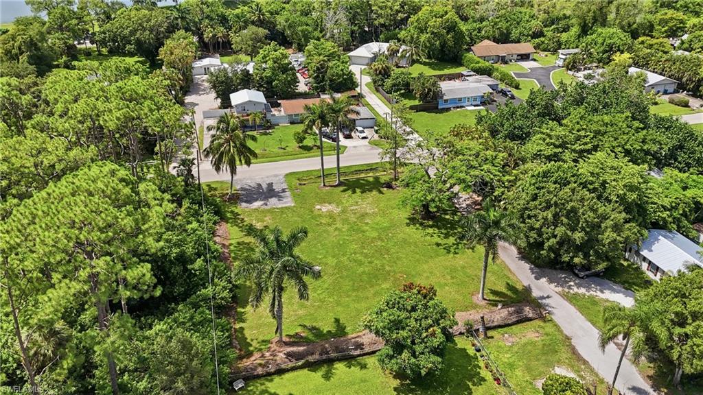 Expansive green space with mature palm trees and surrounding lush foliage