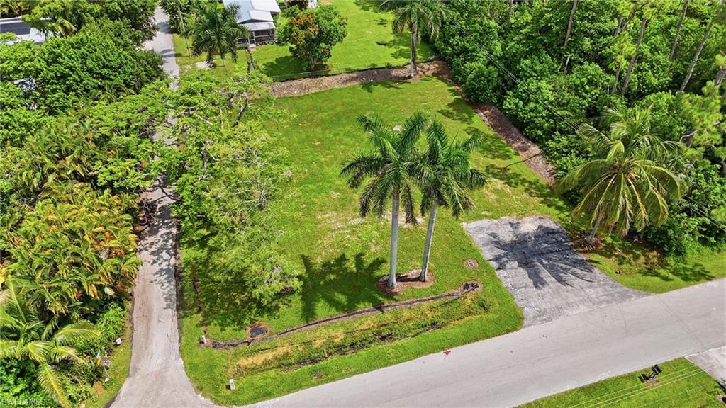 Expansive green lot featuring mature palm trees and lush surrounding foliage, with paved road access