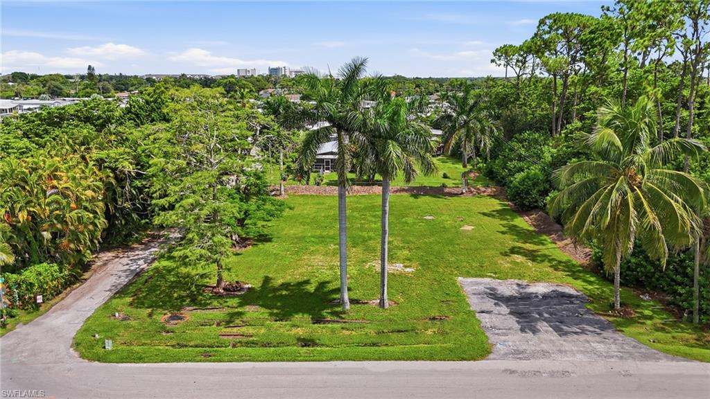 Grassy lot featuring mature palm trees and established landscaping