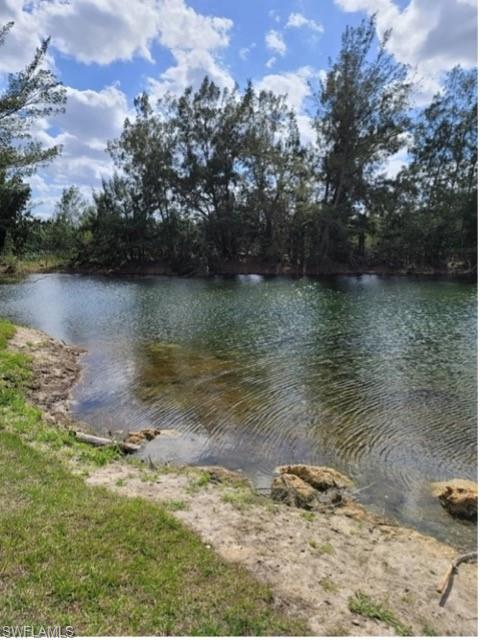 Inside Frank Mann Preserve