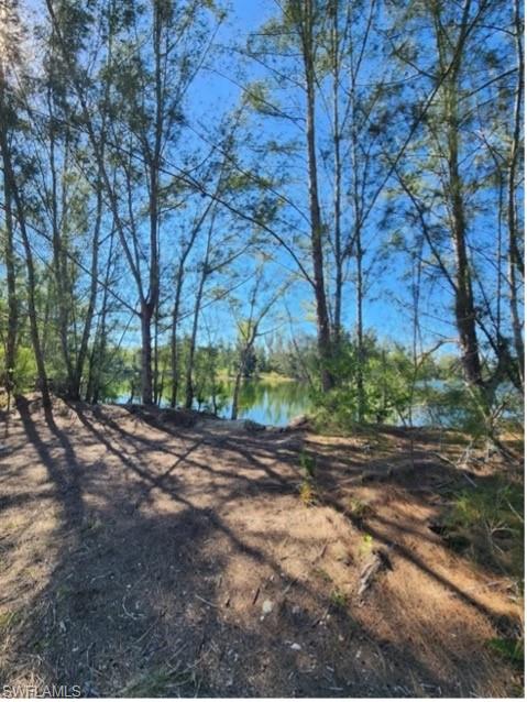 Inside Frank Mann Preserve