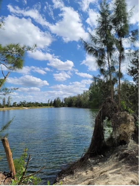 Inside Frank Mann Preserve