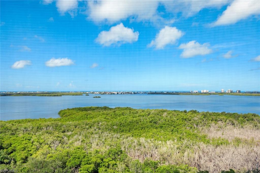 Expansive waterfront preserve featuring lush native vegetation and mature tree canopy overlooking pristine blue waters