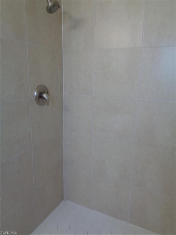 Main Bath Shower
