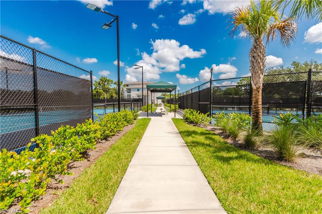 Ibis Landing Pickleball