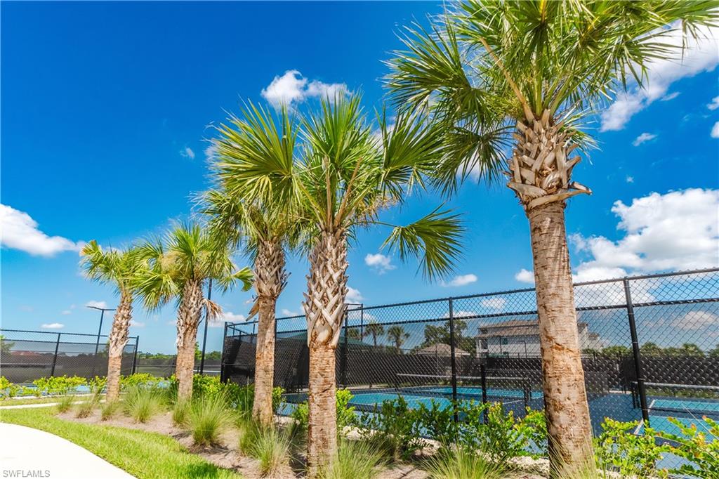 Ibis Landing Pickleball