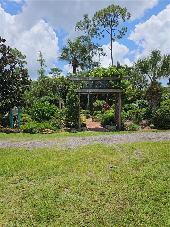 Butterfly Garden