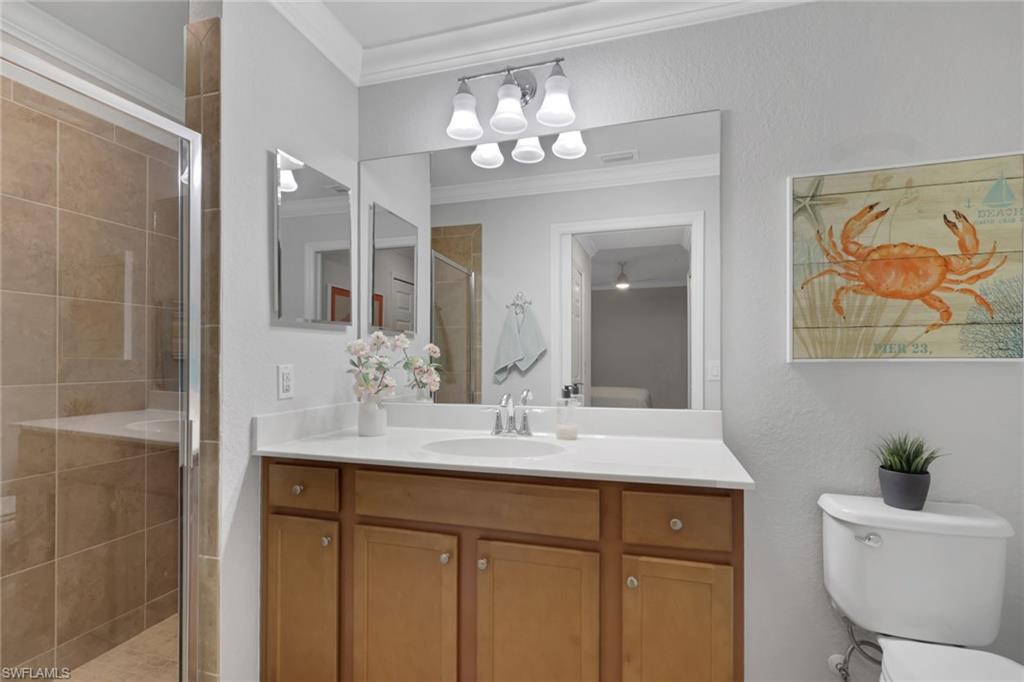 9560 Trevi CT 4812 photo 16