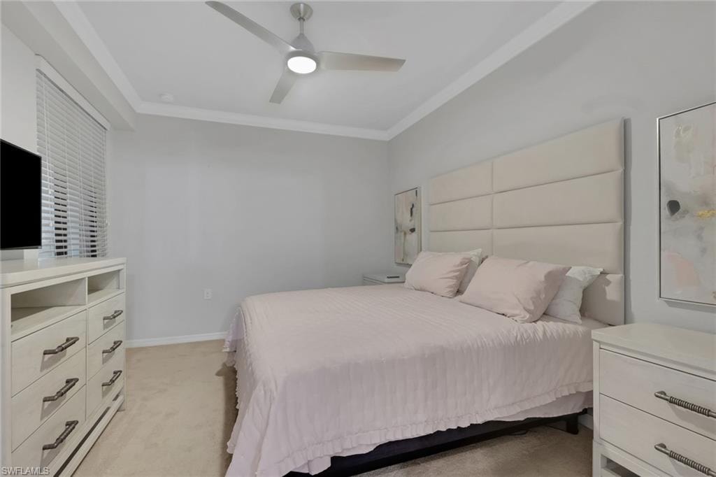 9560 Trevi CT 4812 photo 18
