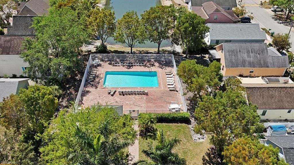 Resort-style swimming pool with lounge seating and mature landscaping, surrounded by lush greenery and established trees throughout the expansive grounds