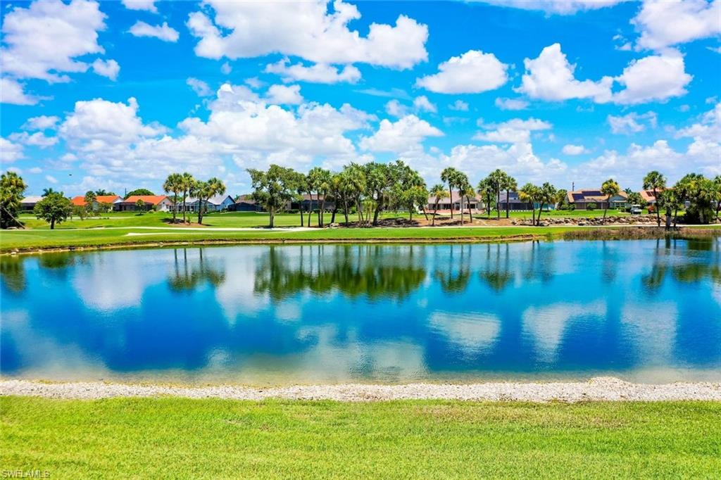 12640 Kelly Palm DR photo 41
