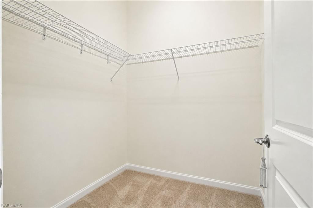 15157 Palmer Lake CIR 202 photo 22