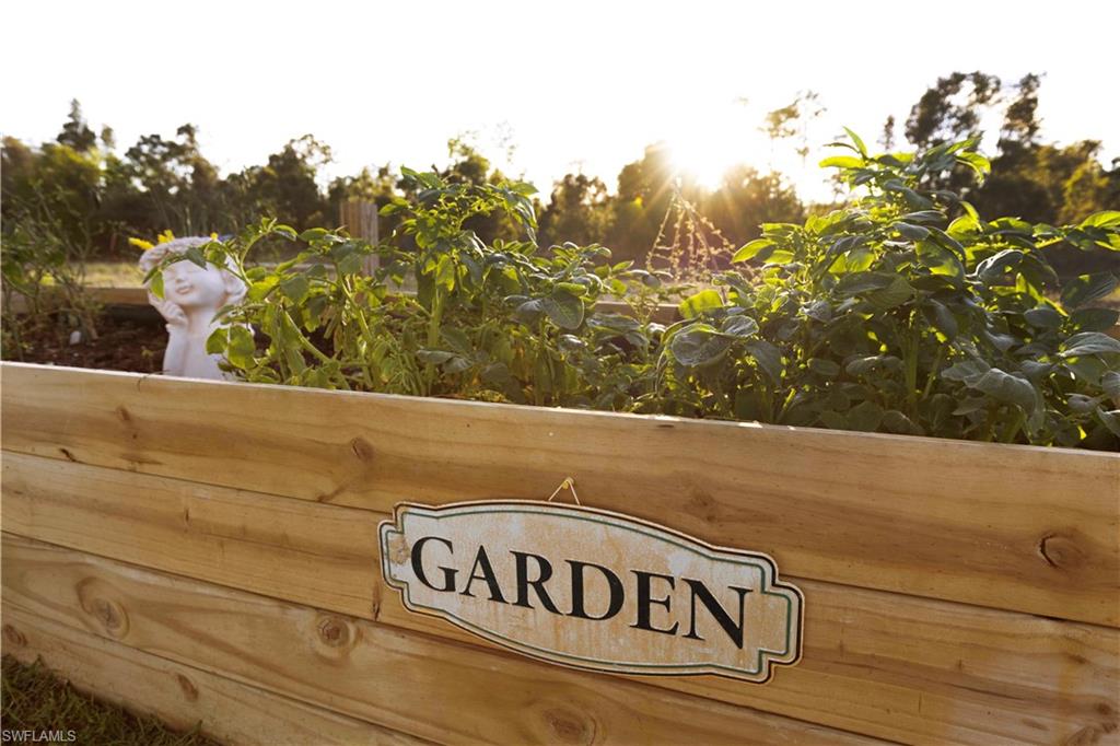 Raised garden beds with natural wood construction