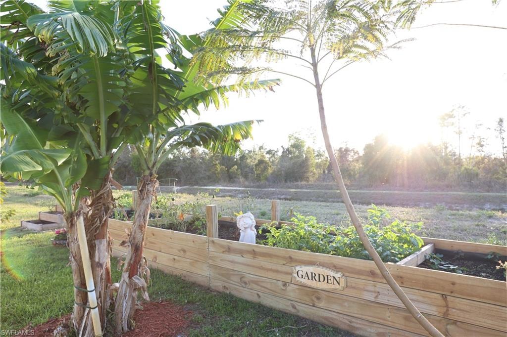 Raised garden beds with natural wood construction