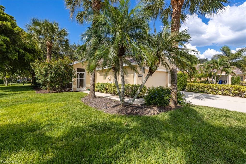 Expansive front lawn with mature palm trees and landscaped shrubbery