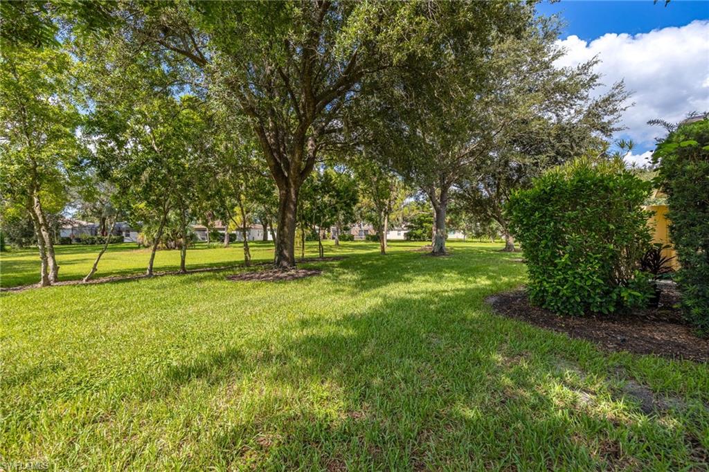 Expansive grounds featuring mature shade trees, lush manicured lawn, and established landscaping with evergreen hedging along the perimeter