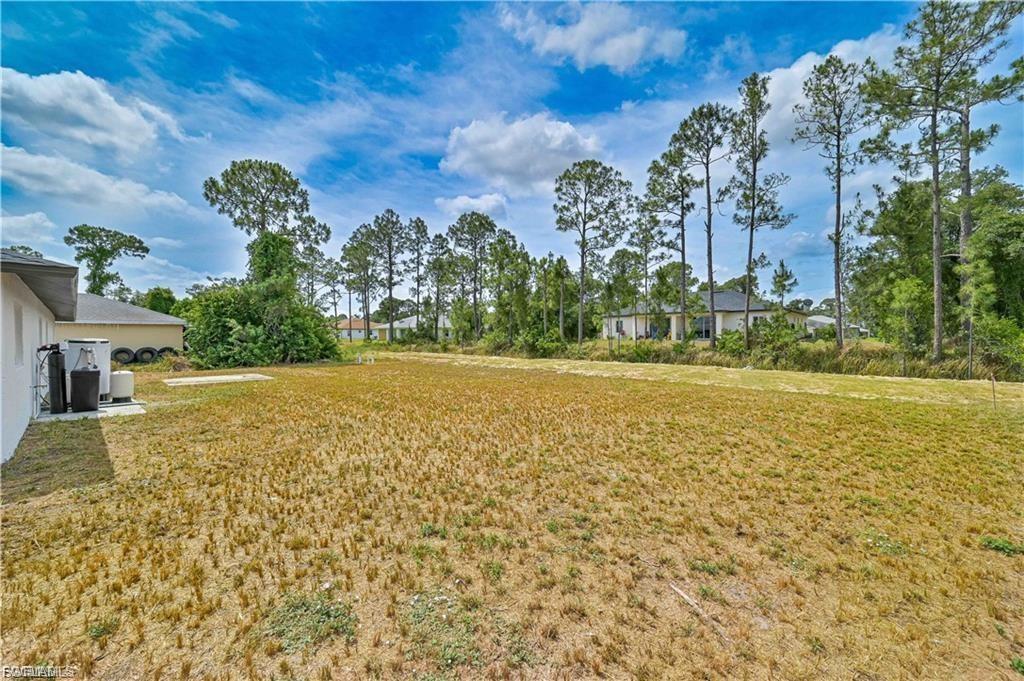 Expansive cleared lot with mature pine and hardwood trees lining the perimeter, offering substantial buildable acreage