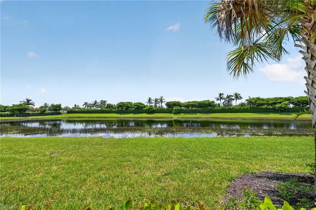 12047 Hawthorn Lake DR 102 photo 40