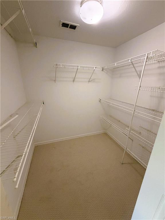 7518 Silver Trumpet LN 101 photo 15