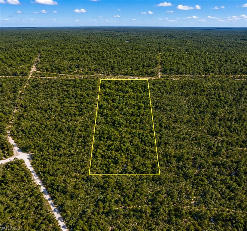 Expansive undeveloped lot with dense tree coverage, featuring a clearly defined perimeter