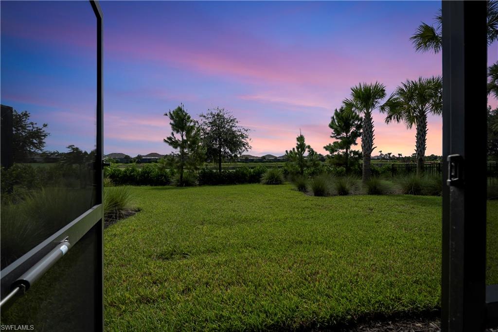 Expansive lawn with mature palm trees and lush landscaping