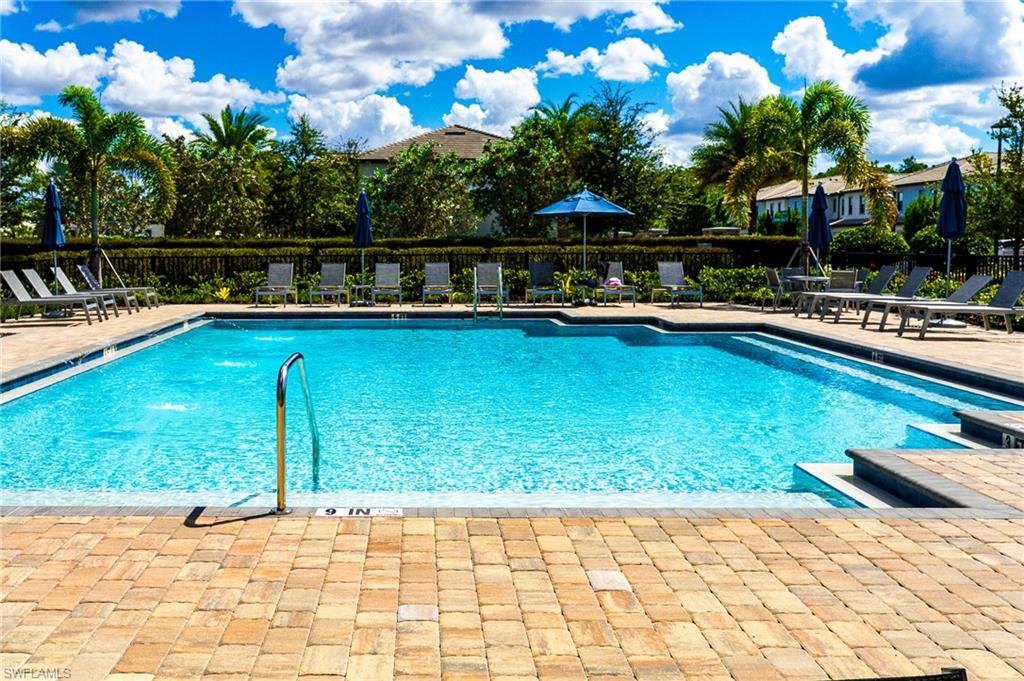 Pool Sonoma Oaks For Lease, Esperanza Bustamante, Naples, Florida.3