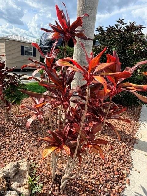 10327 Prairie Iris TRL