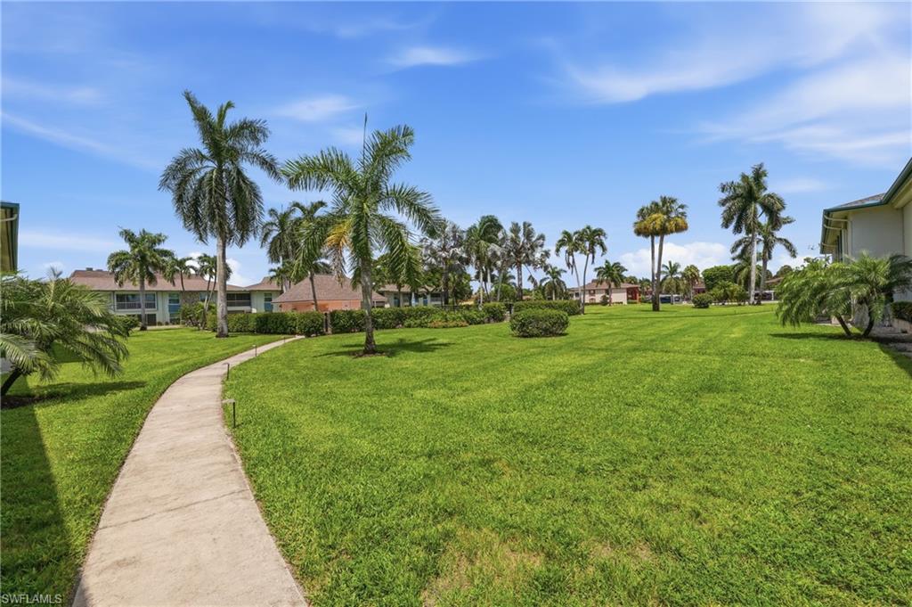 A paved courtyard path winds beneath royal palms