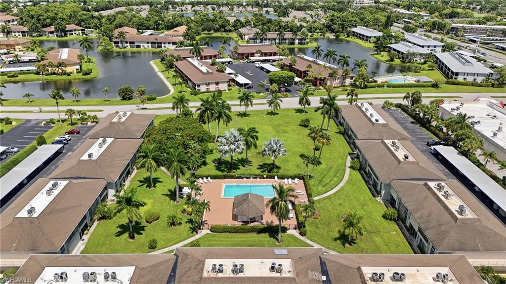 Community pool with surrounding lounge area, central green space, and mature palm trees