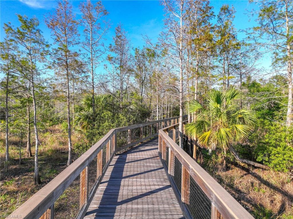 preserve boardwalk area to enjoy your morning walk