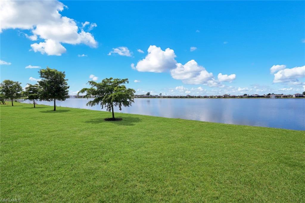 950 Stonewater Lake TER photo 28