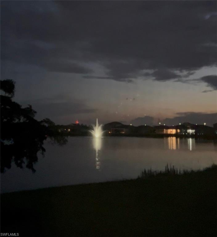 Night Fountain View