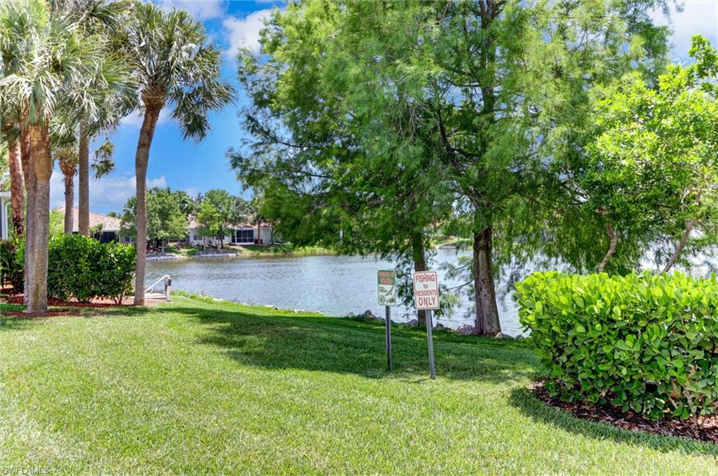 16901 Colony Lakes BLVD photo 42