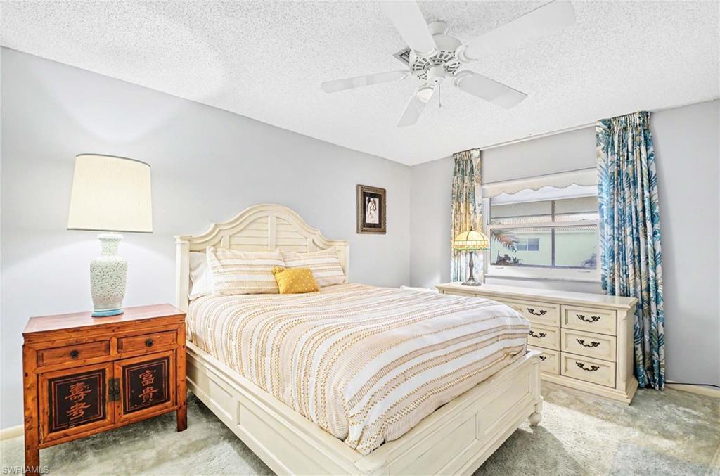 Window with privacy blinds, ceiling fan, and carpeted flooring