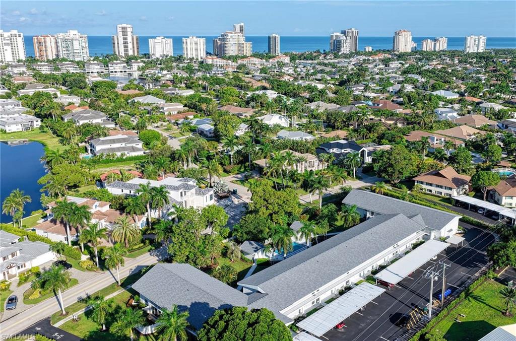 Expansive urban landscape featuring dense tropical foliage and numerous residential structures