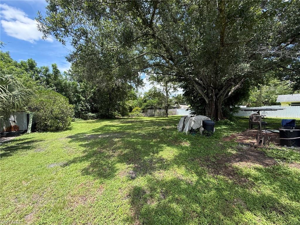 Expansive green space featuring a mature tree, natural landscaping, and a partial fence line