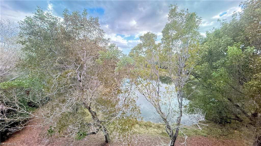 View of local lake/preserve from office window