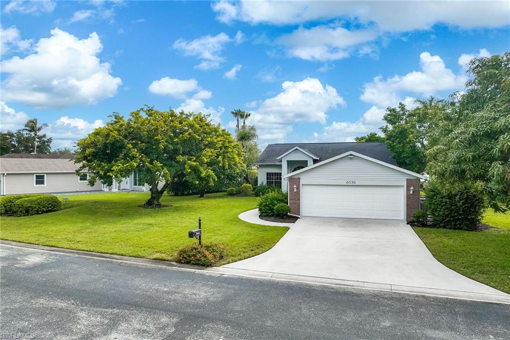 6536 Ilex CIR