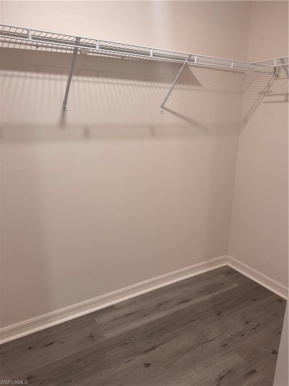 Walk in closet featuring dark wood-style floors