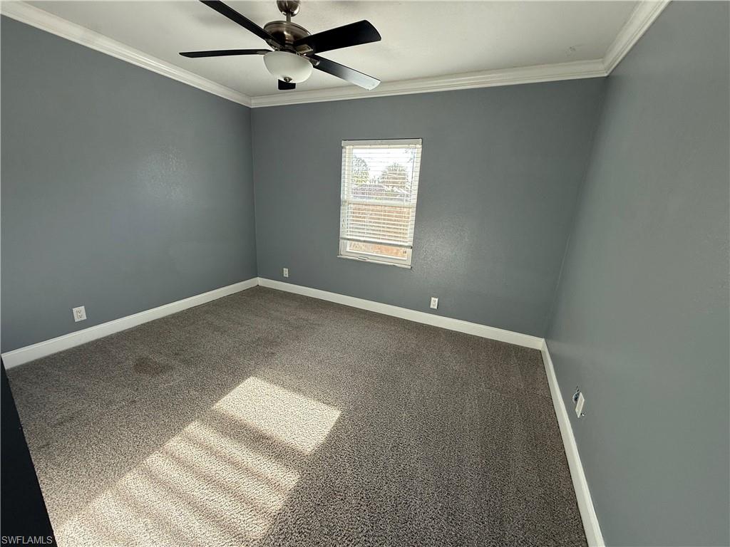 Carpeted room featuring a ceiling fan, crown molding, and window with blinds